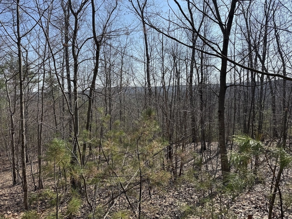 0B Brimfield Rd, Warren, Massachusetts 01083