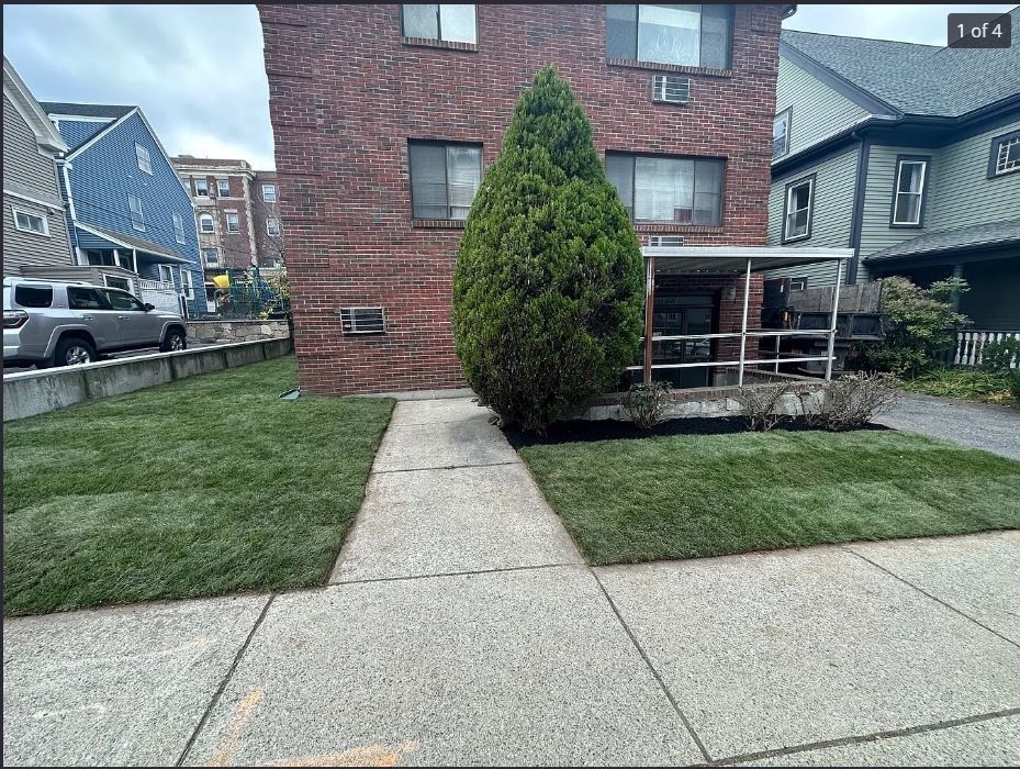 136 School, Somerville, Massachusetts 02143