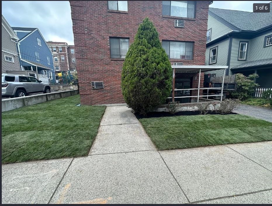 136 School, Somerville, Massachusetts 02143