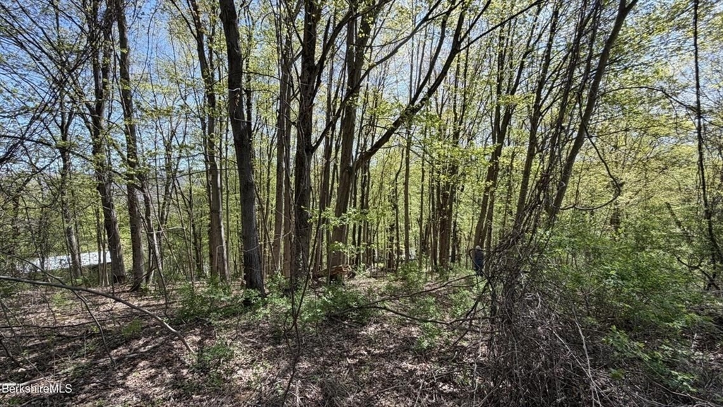 Lots 2A-3A Reservoir Road, North Adams, Massachusetts 01247