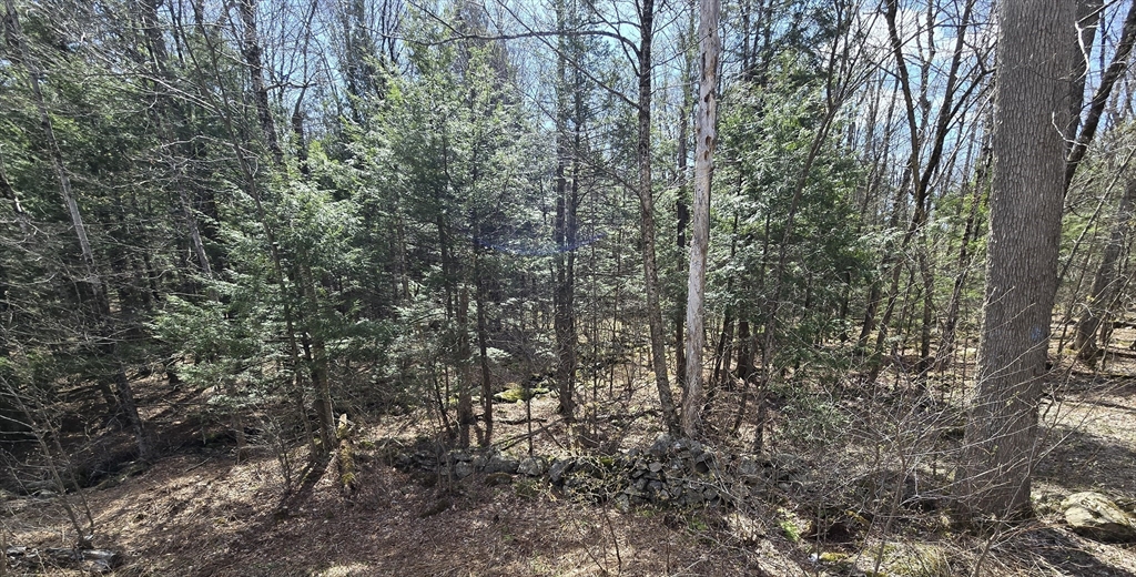 360 Jacob's Ladder Rd., Becket, Massachusetts 01223