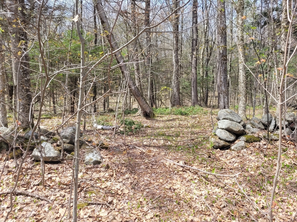Lot 3 Town Hill Rd, Sandisfield, Massachusetts 01255
