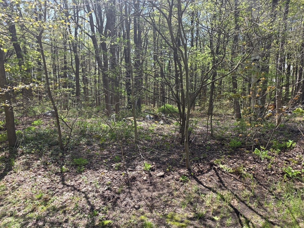 Lot 1 Winter St, Orange, Massachusetts 01364