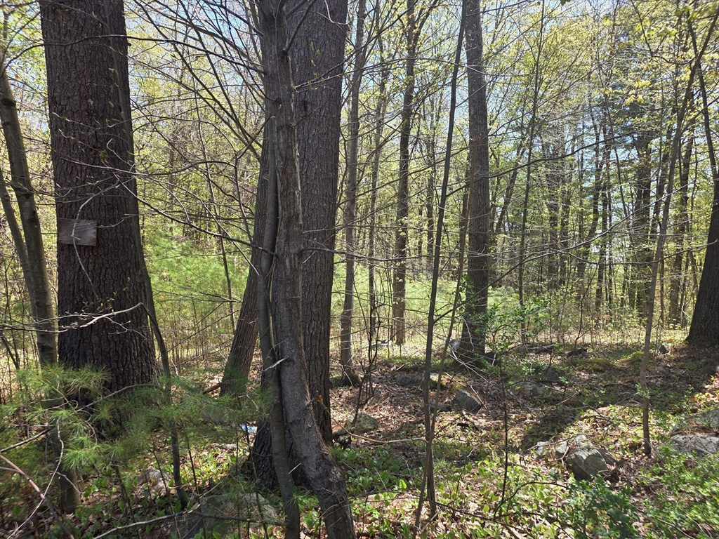 Lot 2 Beacon St, Orange, Massachusetts 01364