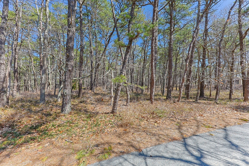 175 Delphi Path, Wellfleet, Massachusetts 02667