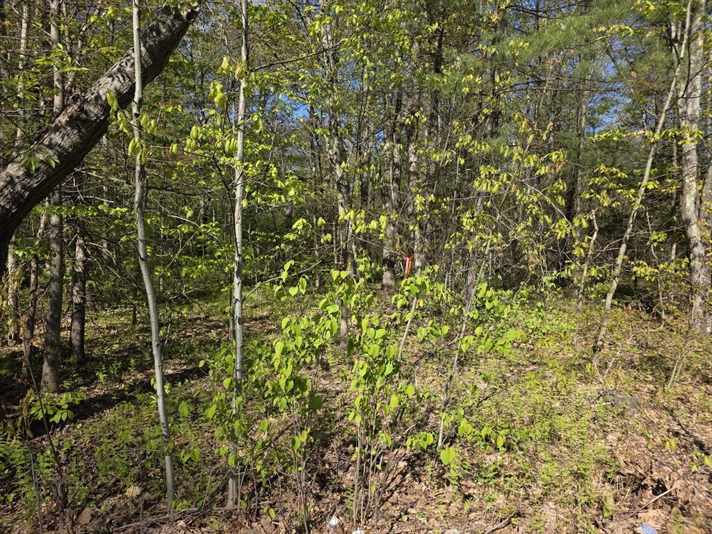 lot 14 West St, Ludlow, Massachusetts 01056