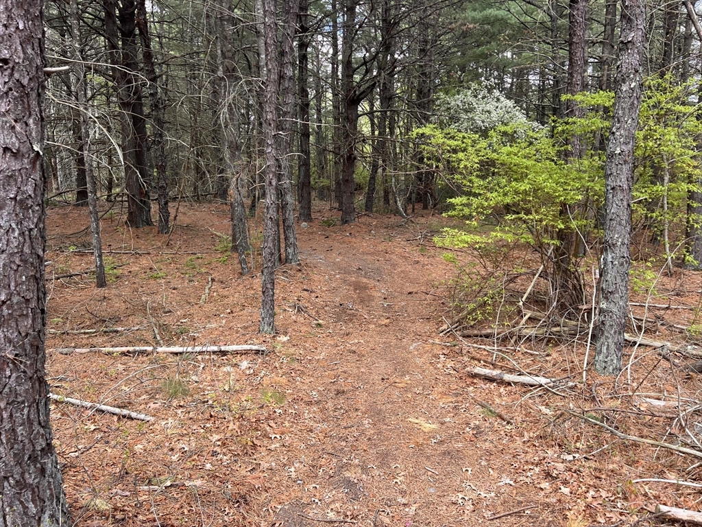0 Clay St, Middleboro, Massachusetts 02346