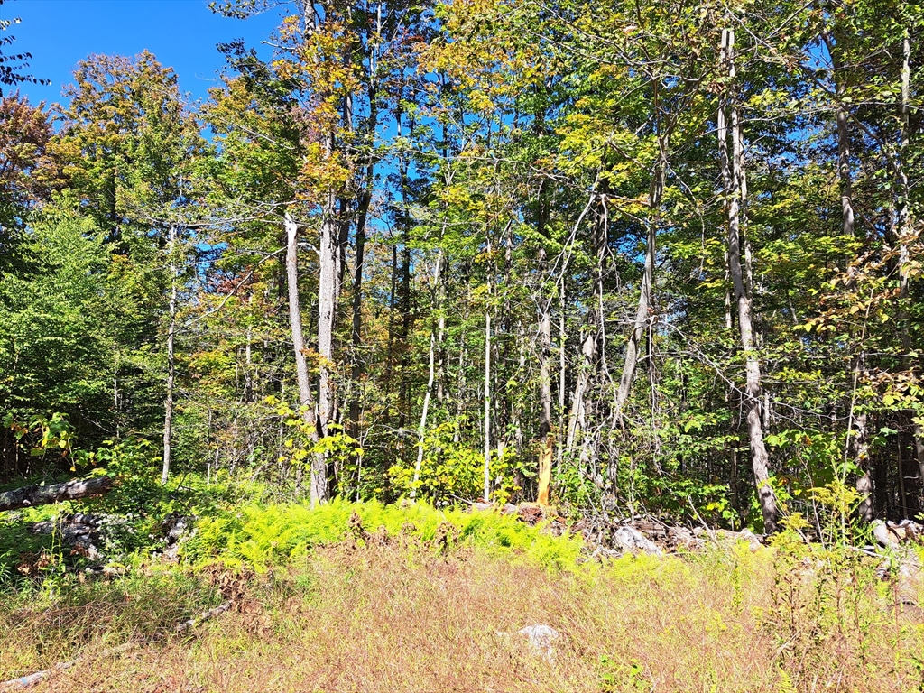 Lot "B" Beulah Land Rd, Blandford, Massachusetts 01008