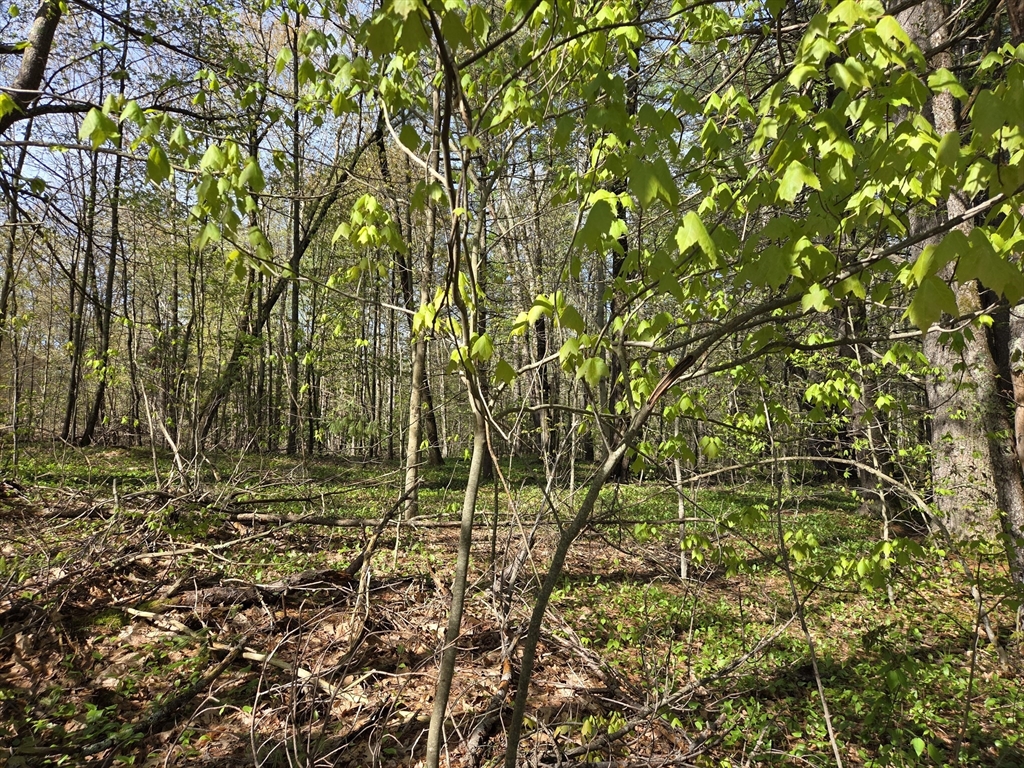 Lot 12W Chicopee Drive, Hubbardston, Massachusetts 01452