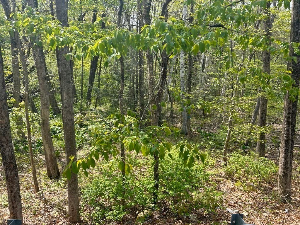 45 Fox Hill Rd, Mashpee, Massachusetts 02649
