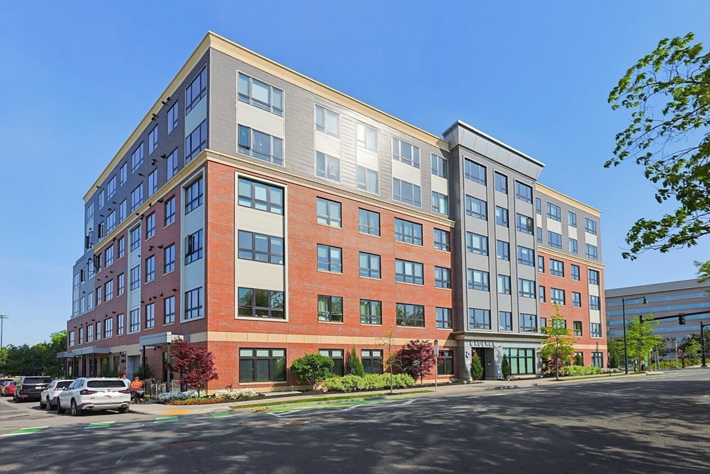 70 Leo Birmingham Parkway, Boston, Massachusetts 02135