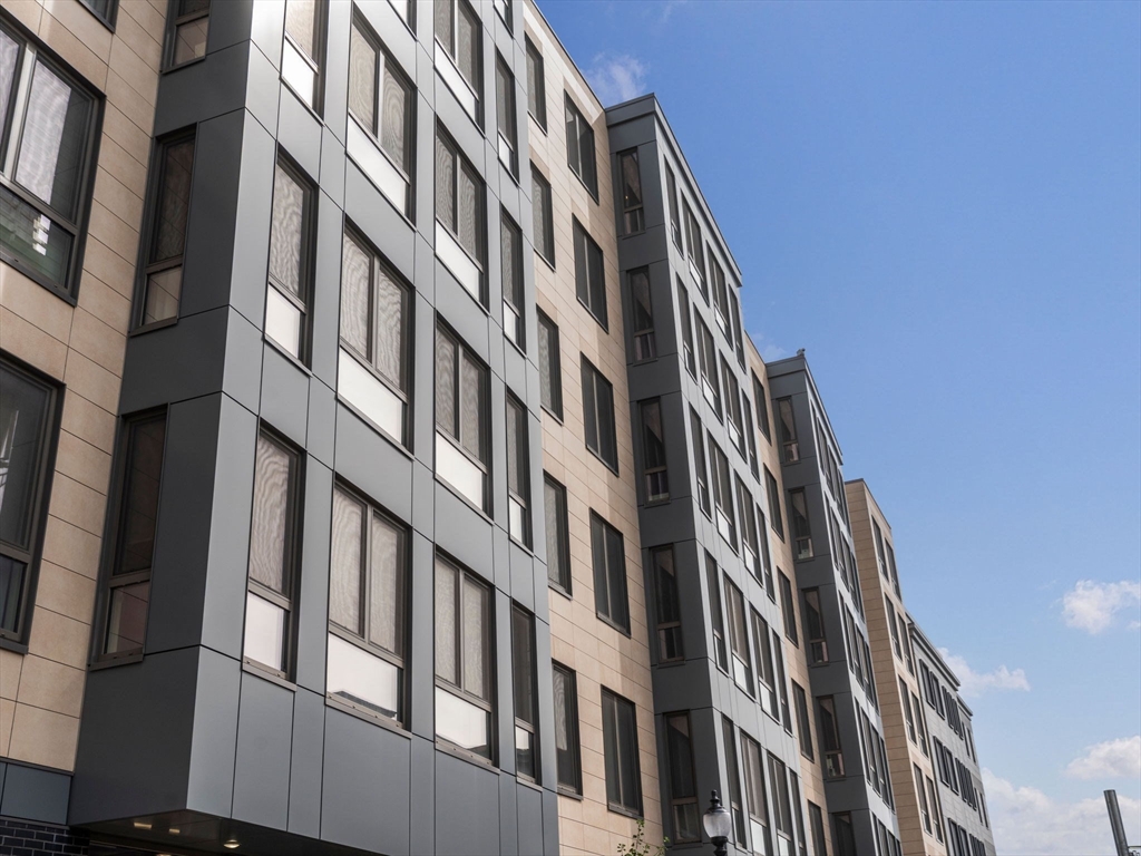 10 Taber Street, Boston, Massachusetts 02119