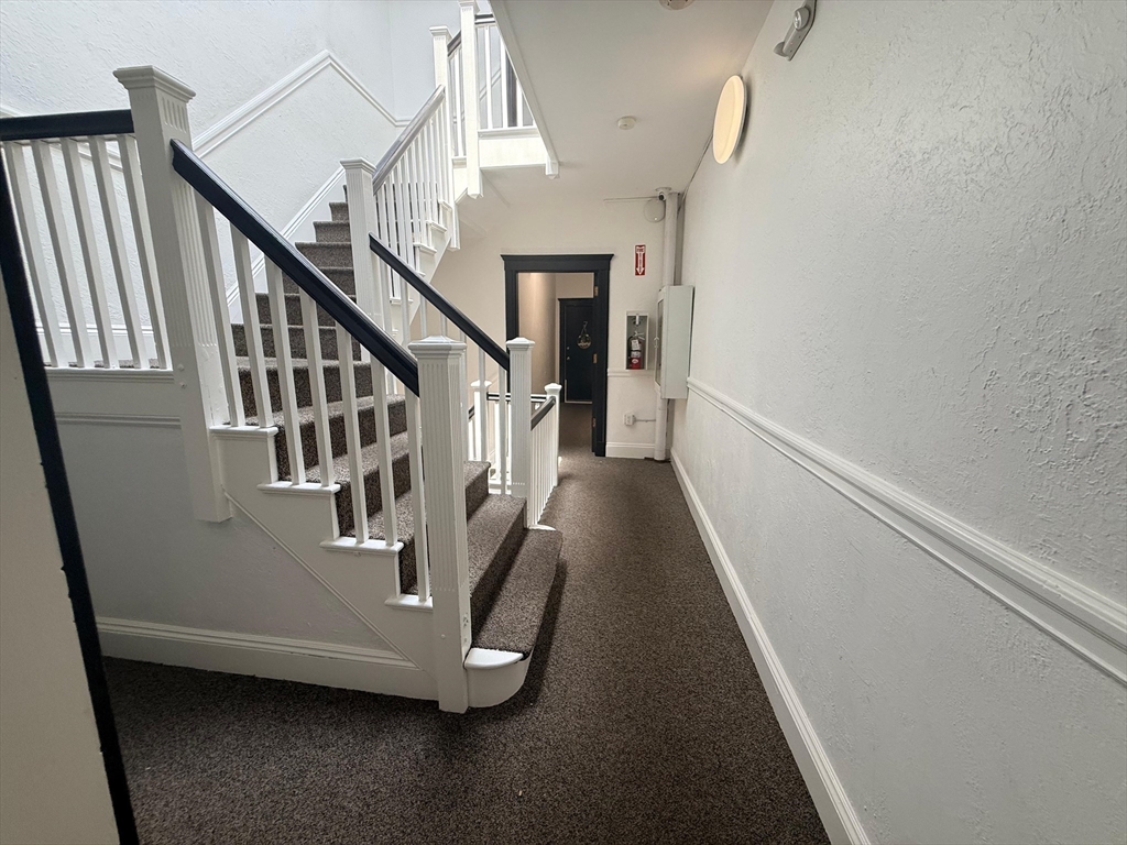 6 Kenwood St, Boston, Massachusetts 02124