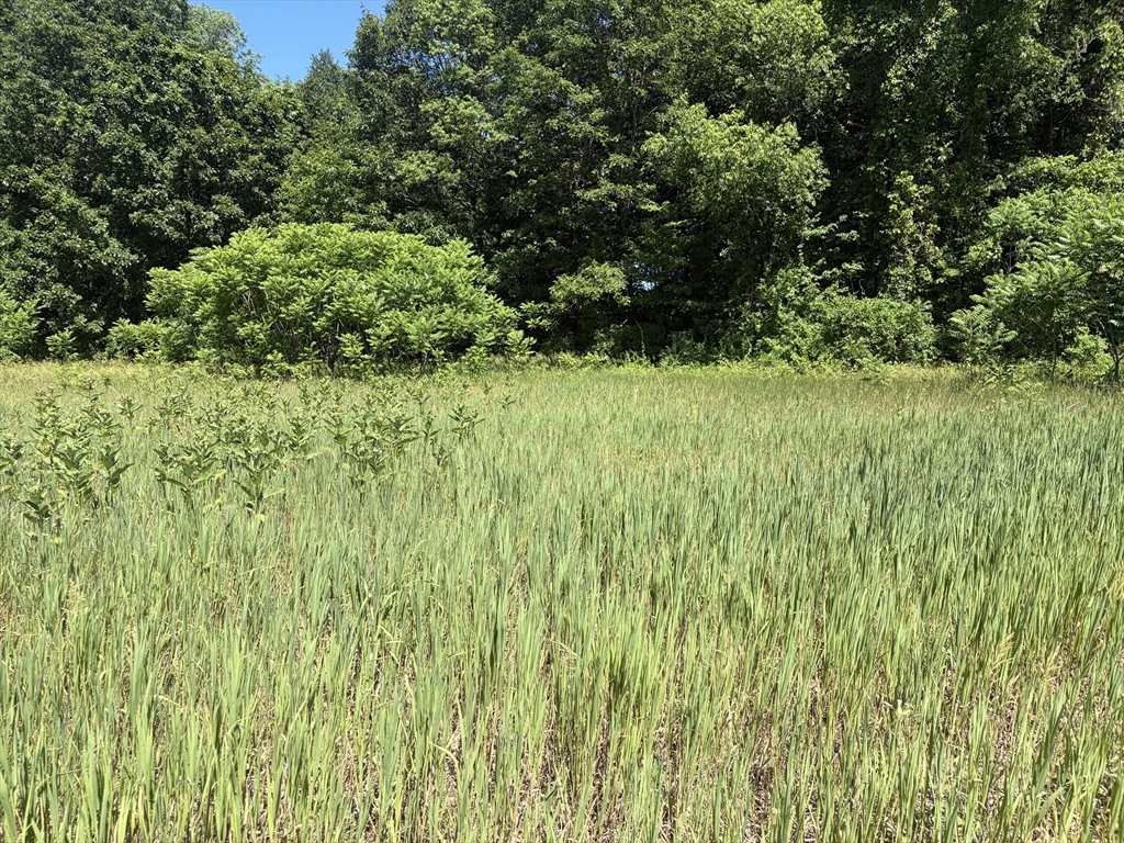 0 Straits Road, Hatfield, Massachusetts 01038