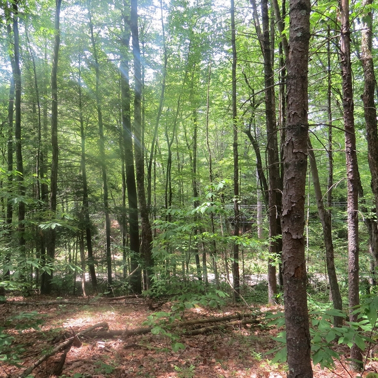 Lot 1 Pratt Corner Road, Leverett, Massachusetts 01054