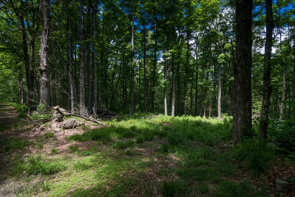 91 Lynes Rd, Chester, Massachusetts 01011