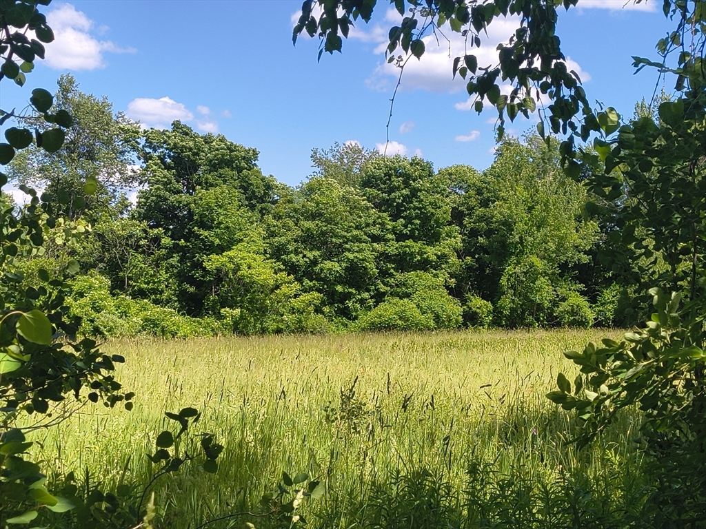 lot 4 Holcomb Road, Chester, Massachusetts 01011