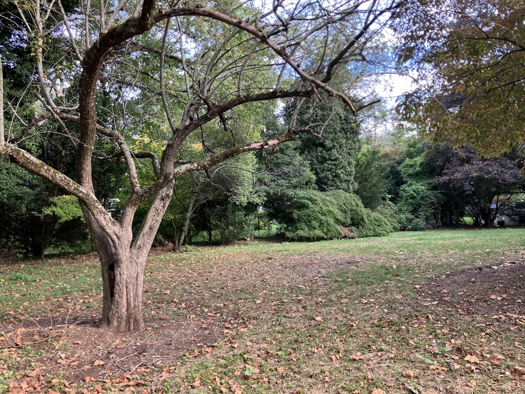 0 Glenoe Rd, Brookline, Massachusetts 02467
