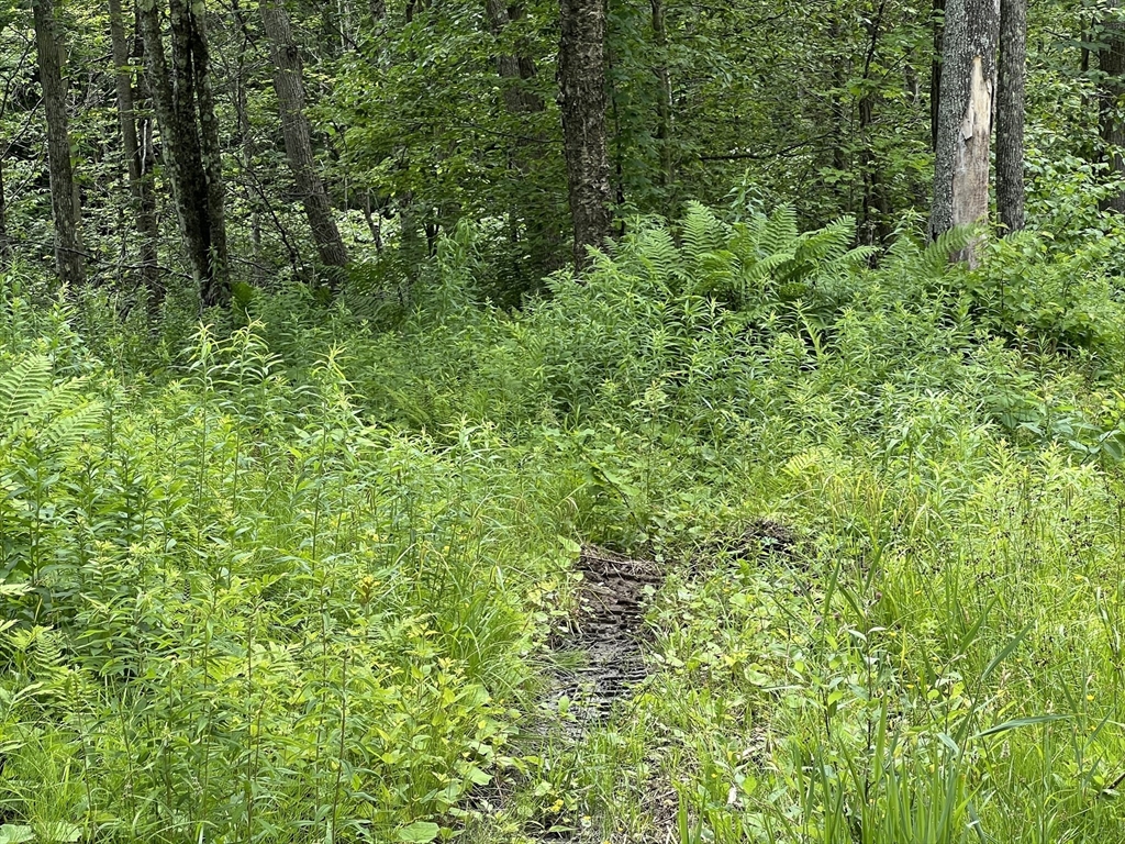 Lot 21 Becket Rd, Middlefield, Massachusetts 01243