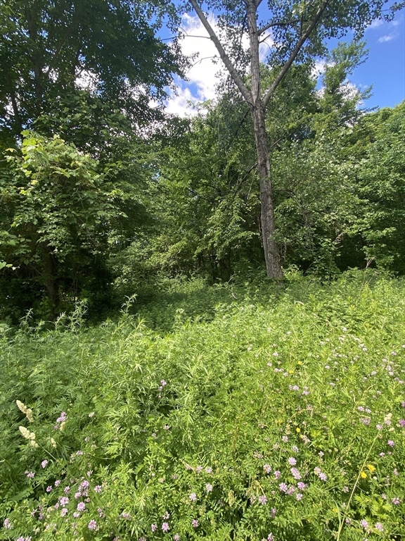 Lot 27C Pennie Lane, Stow, Massachusetts 01775