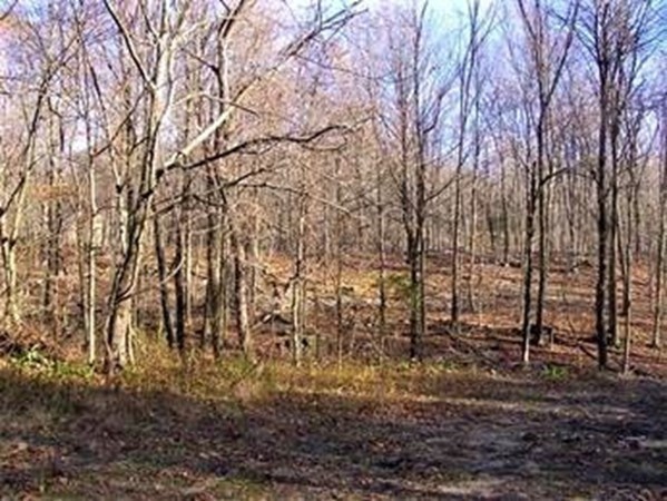 480 Mountain Road, Wilbraham, Massachusetts 01095