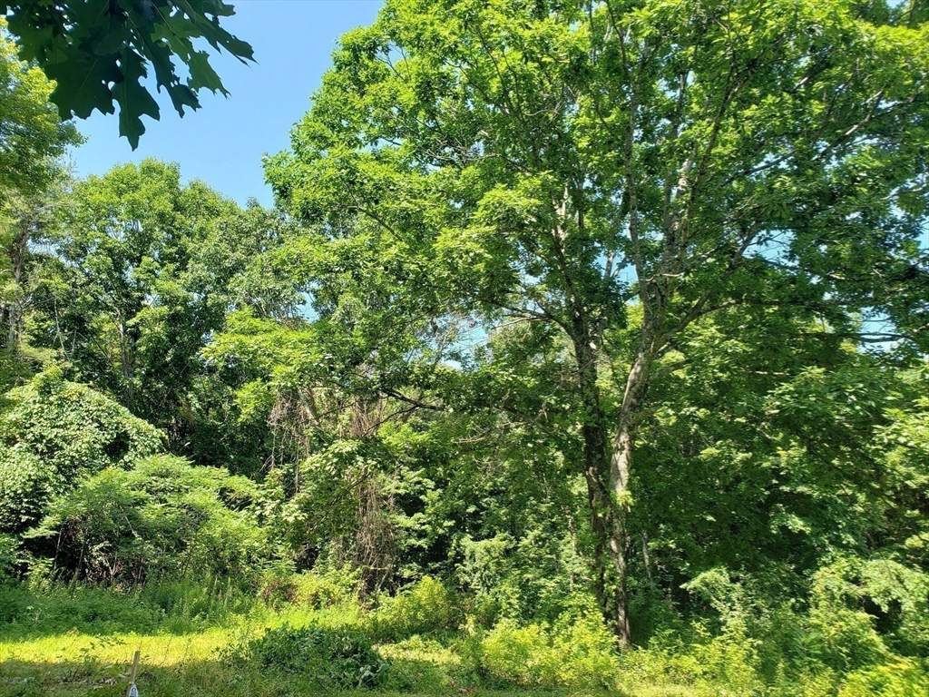 40 Harlow Clark Rd, Huntington, Massachusetts 01050