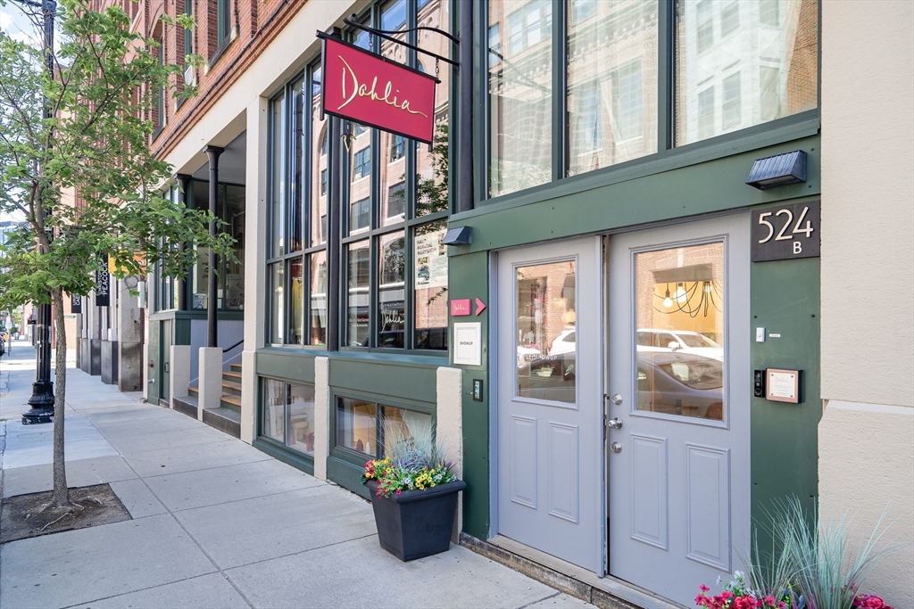 524 Harrison Ave, Boston, Massachusetts 01211