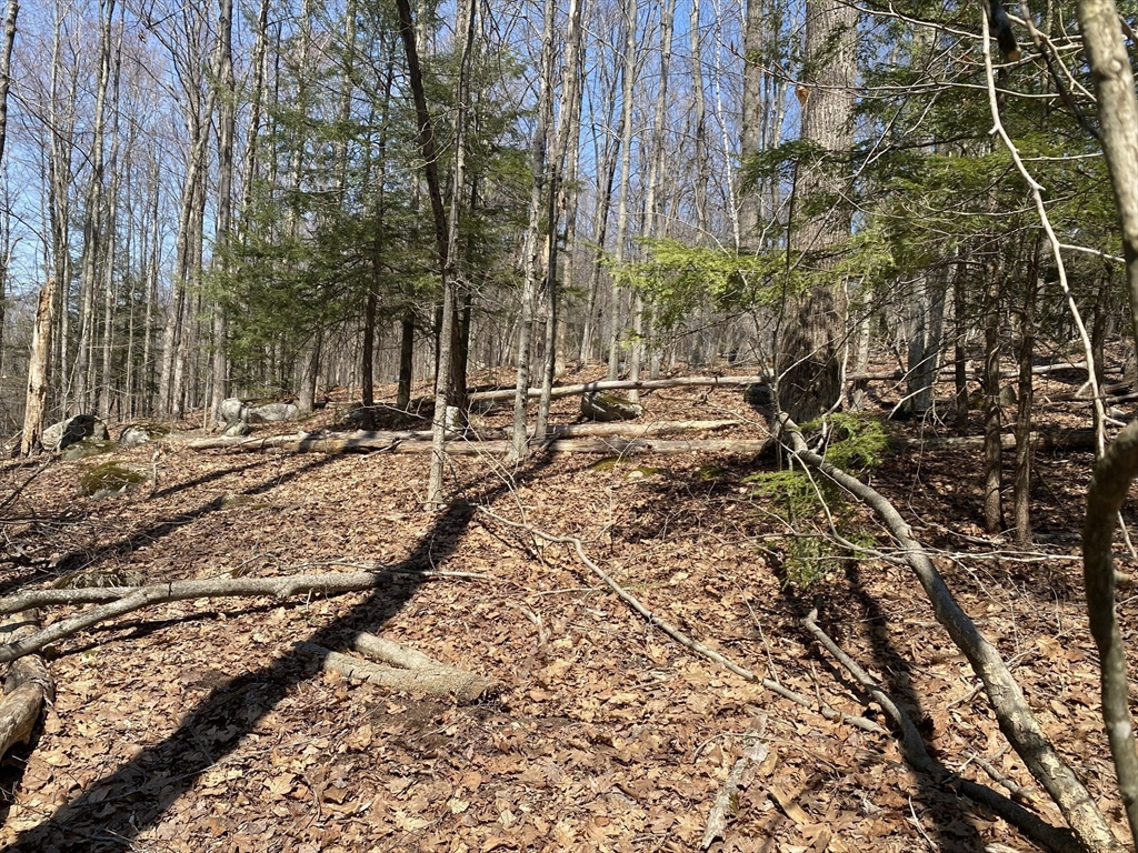Lot 15 Colebrook River Rd, Tolland, Massachusetts 01034