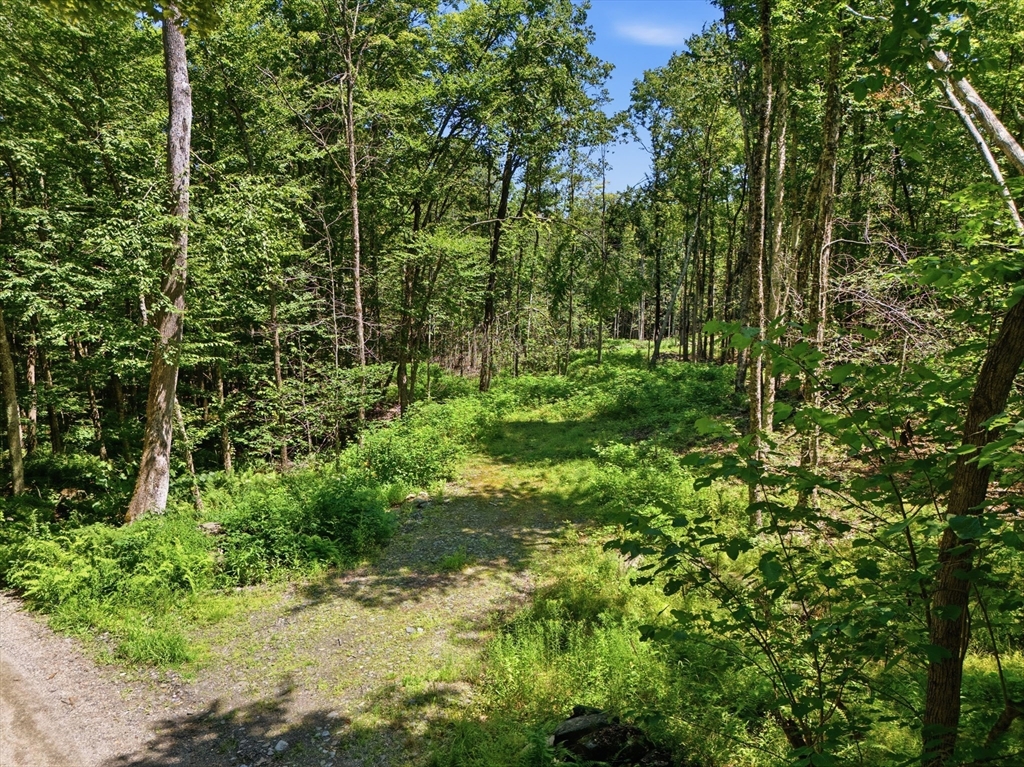 Lot 00 Thayer Hill Road, Worthington, Massachusetts 01098