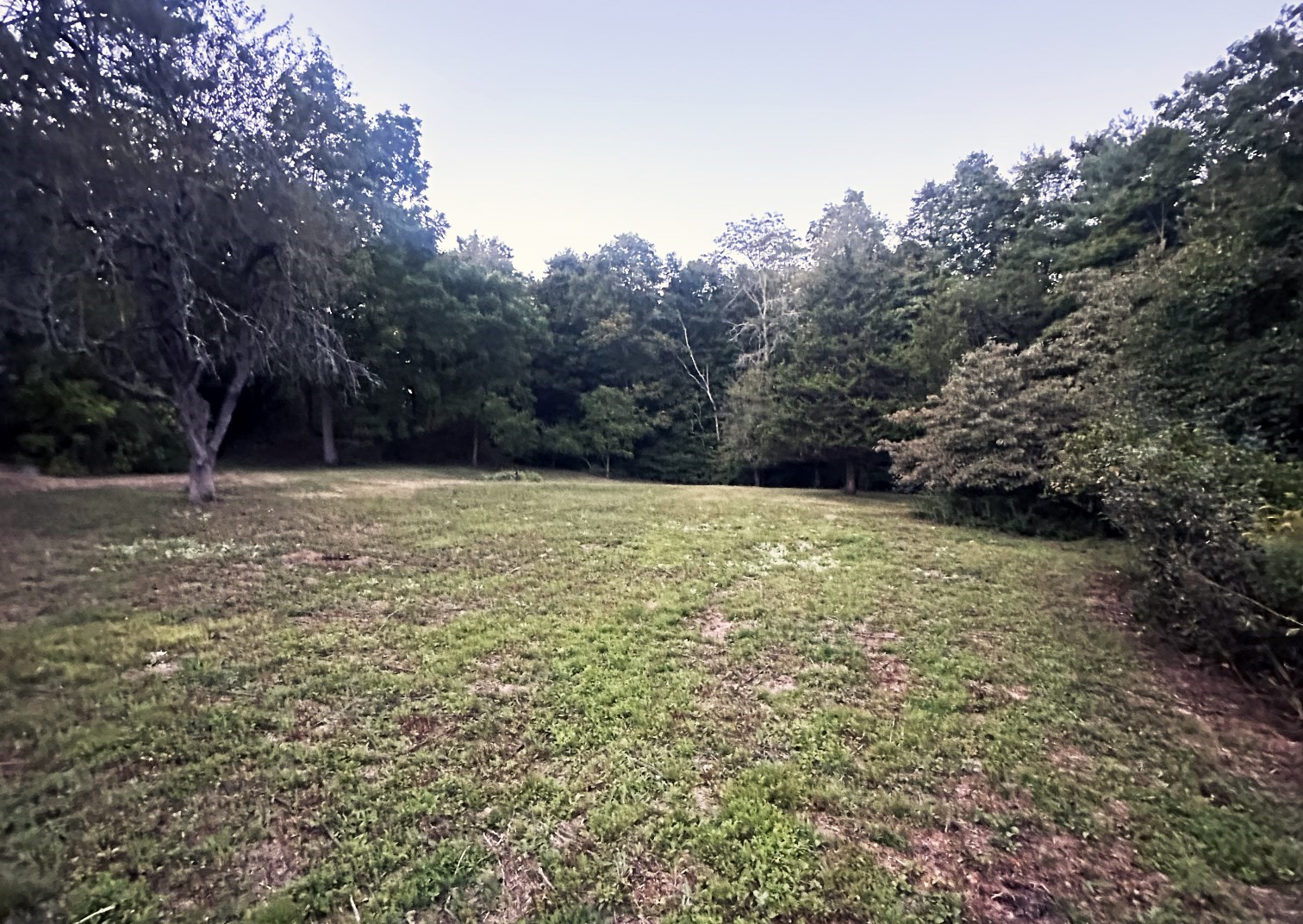 12 Farm, Dover, Massachusetts 02090