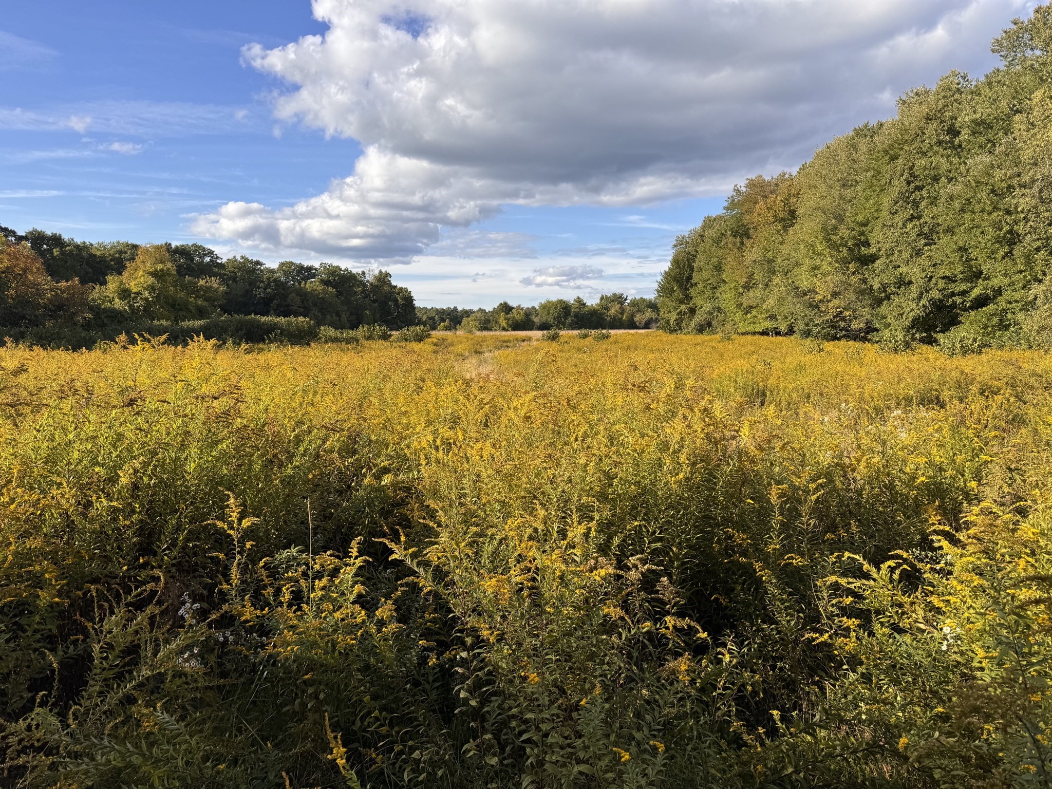 30V-Lot 1 Red Bridge Rd, Wilbraham, Massachusetts 01095