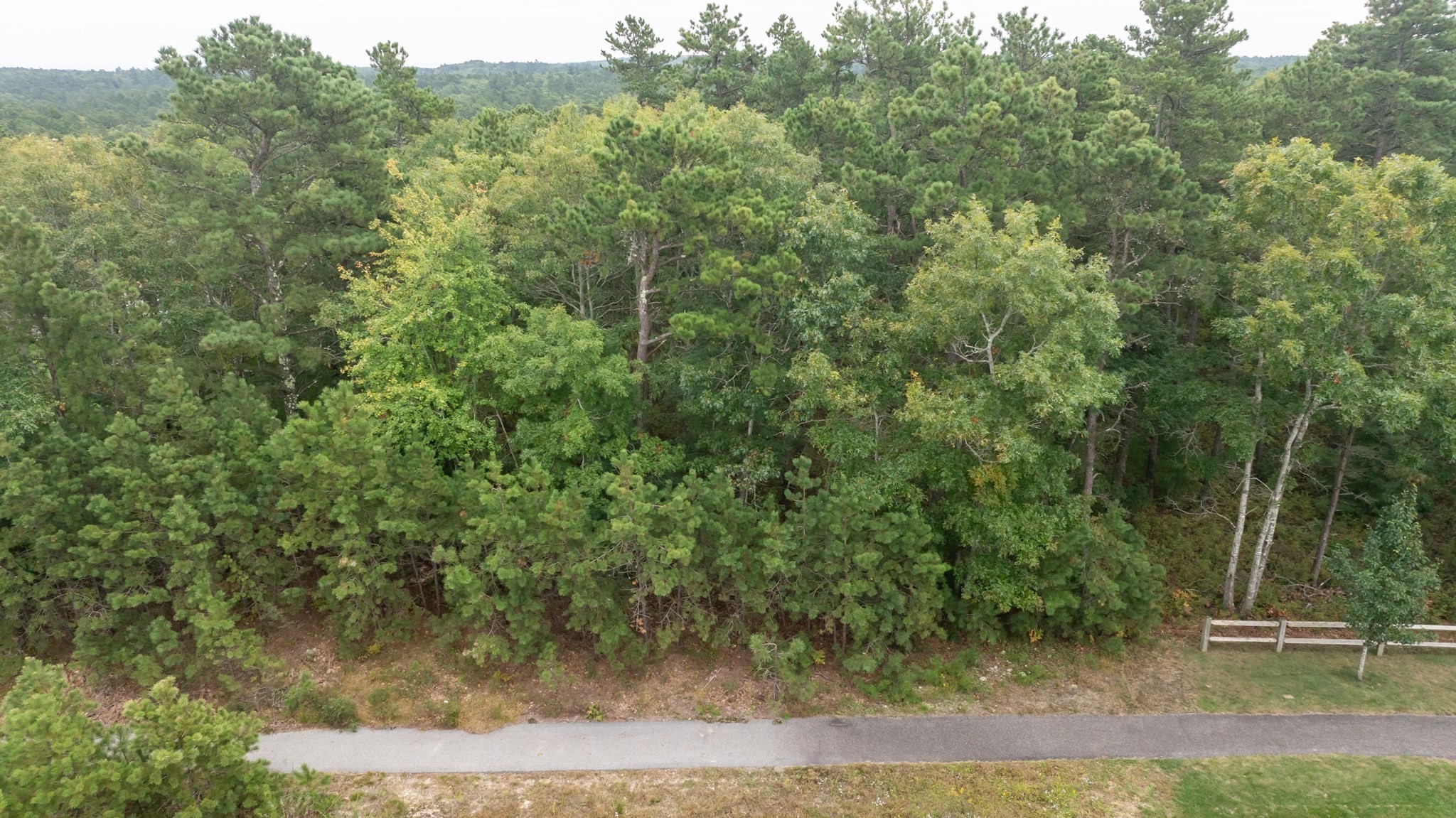 49 Seabiscuit Dr, Plymouth, Massachusetts 02360