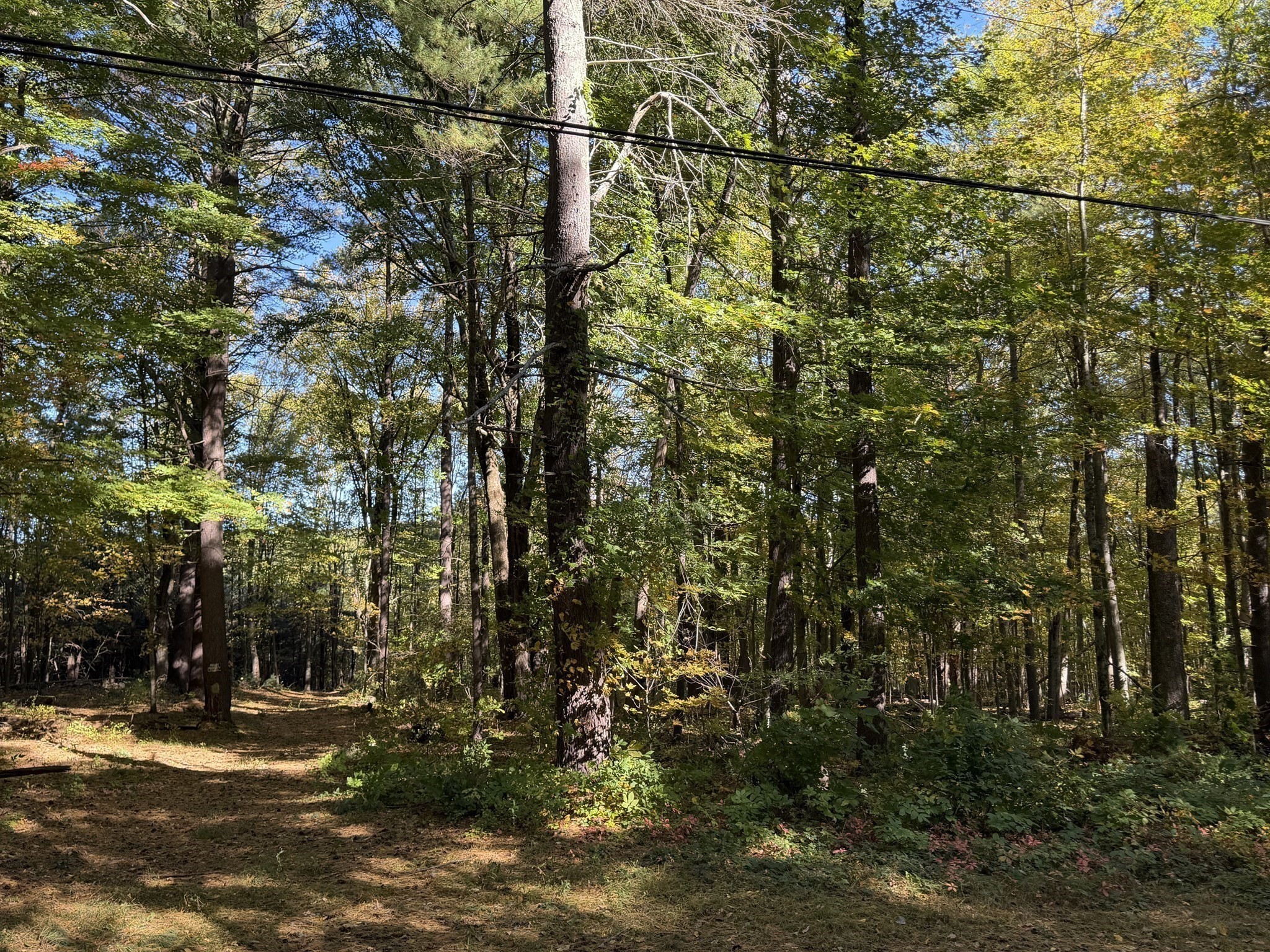 15 Carrier Lane, Sutton, Massachusetts 1620