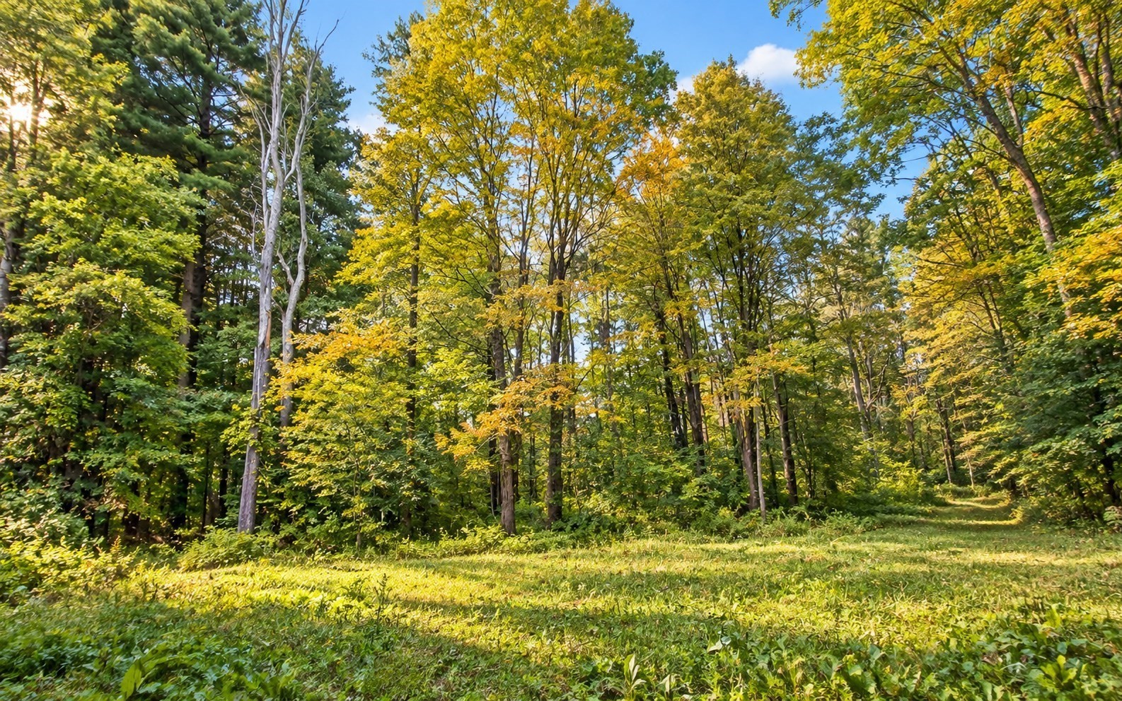 Lot 3 Ma-41, Richmond, Massachusetts 01254