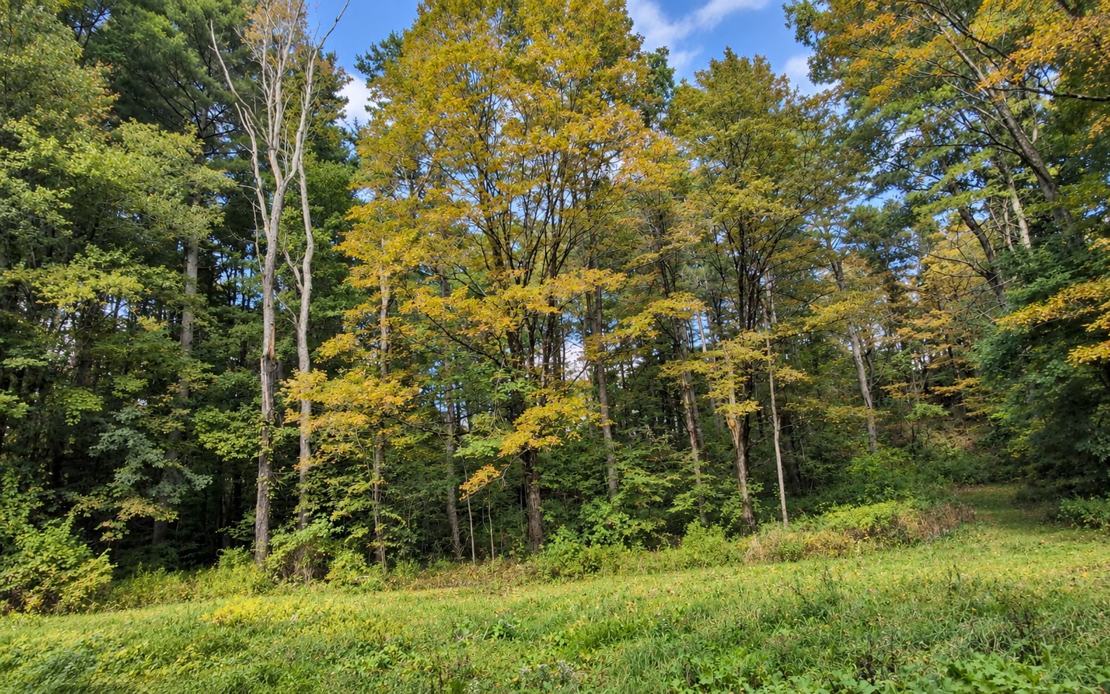 Lot 2 Ma-41, Richmond, Massachusetts 01254