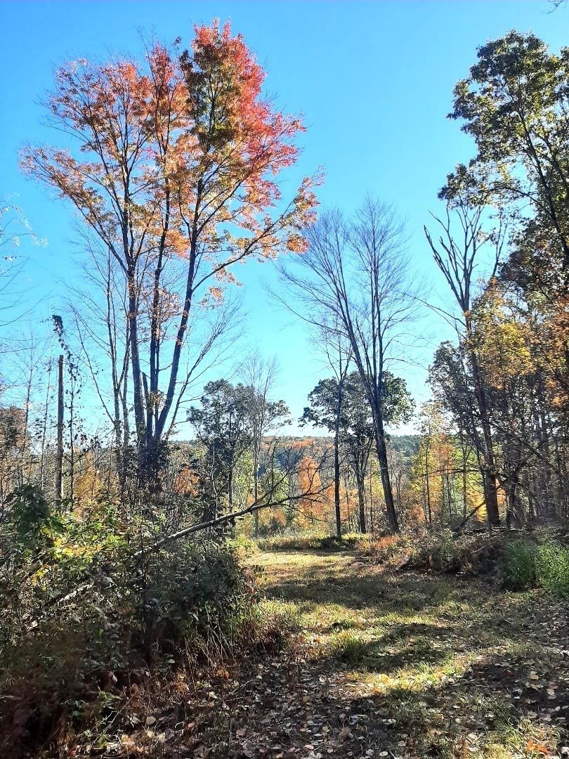 0 Brookfield Road, Brimfield, Massachusetts 01010