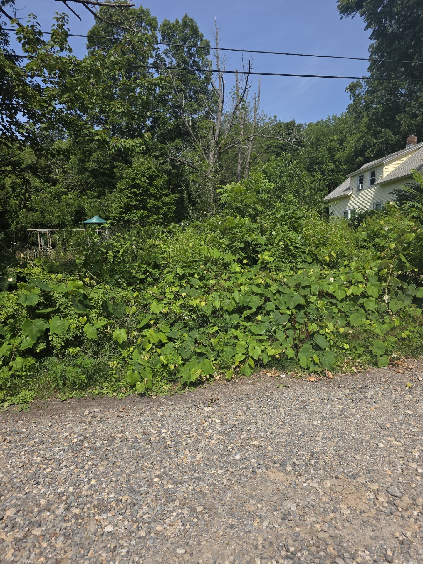 44 Maravista Rd, Worcester, Massachusetts 01606